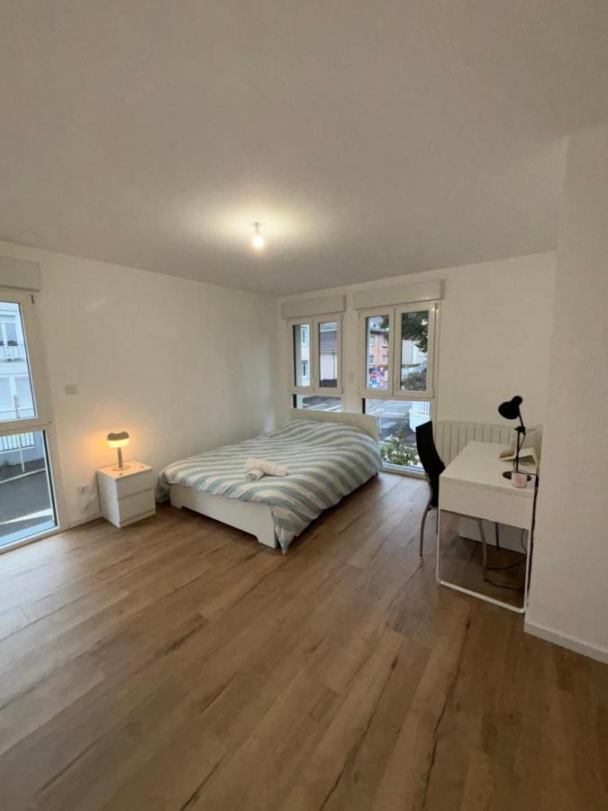 Appartement + Parking + Terrasse Mulhouse Eksteriør bilde