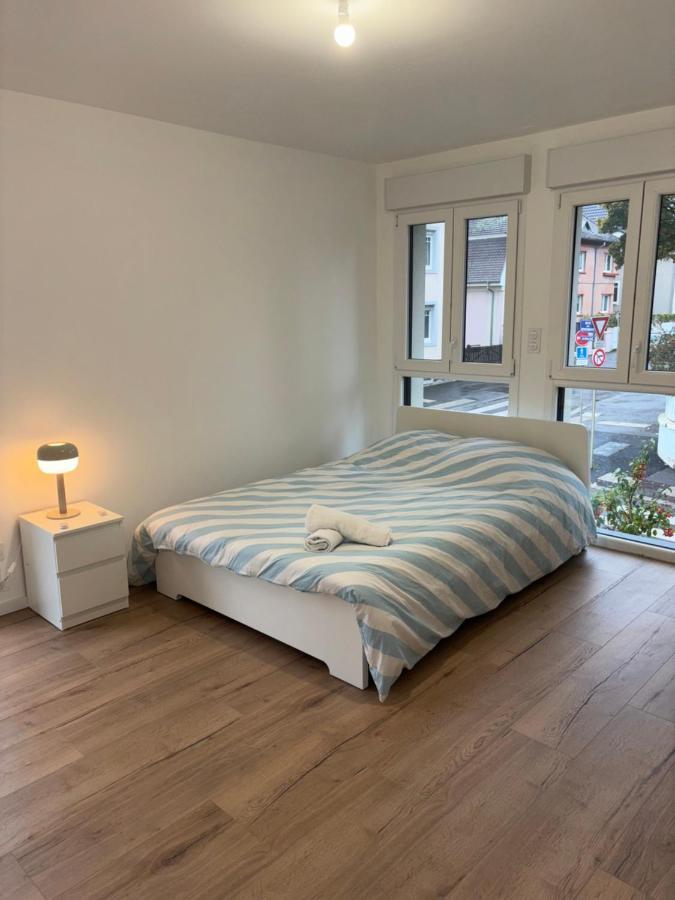 Appartement + Parking + Terrasse Mulhouse Eksteriør bilde