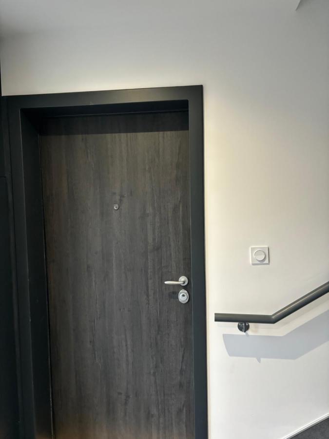 Appartement + Parking + Terrasse Mulhouse Eksteriør bilde