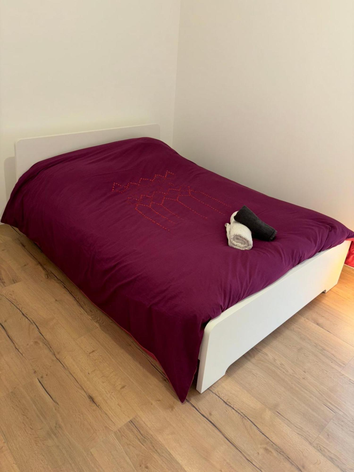 Appartement + Parking + Terrasse Mulhouse Eksteriør bilde